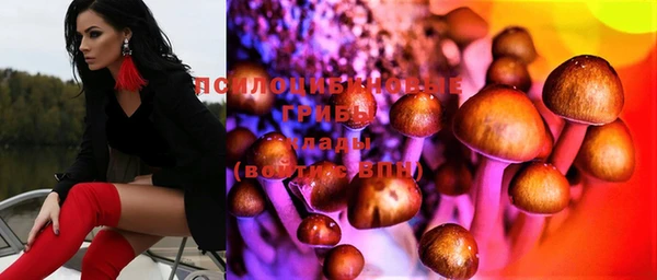 прущая мука Армянск