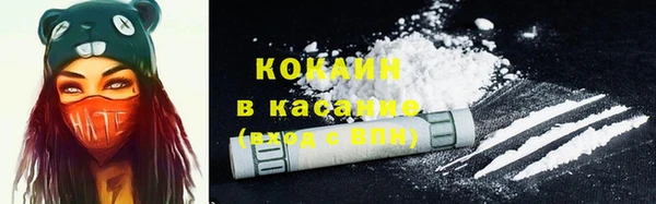 PSILOCYBIN Аркадак