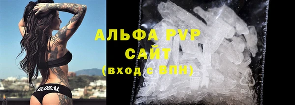 PSILOCYBIN Аркадак