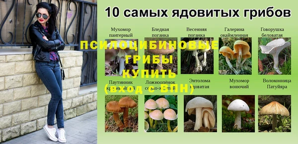 PSILOCYBIN Аркадак