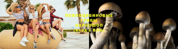 трава Арсеньев