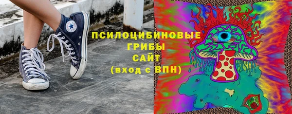 трава Арсеньев