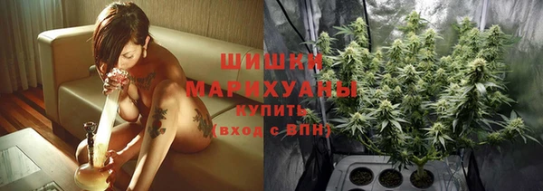 трава Арсеньев